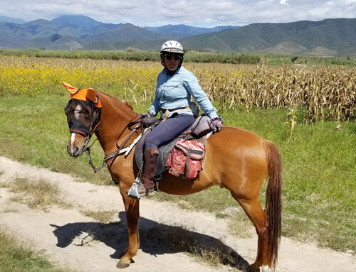 Oaxaca: Riding the Camino Reals