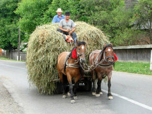 Romanian cart