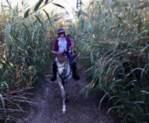 cane corridor