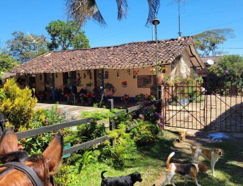 Cantering through North East Colombia