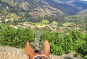 The Candelaria desert