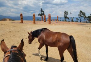 The Candelaria desert